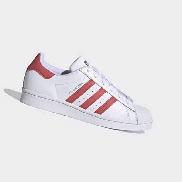 Zapatillas Adidas Superstar Mujer Chile Blancas - FAKRPT602