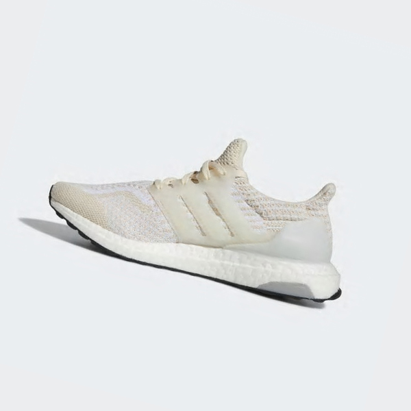 Zapatillas Adidas Ultraboost 5.0 DNA Mujer Chile Beige - ABMSRJ648