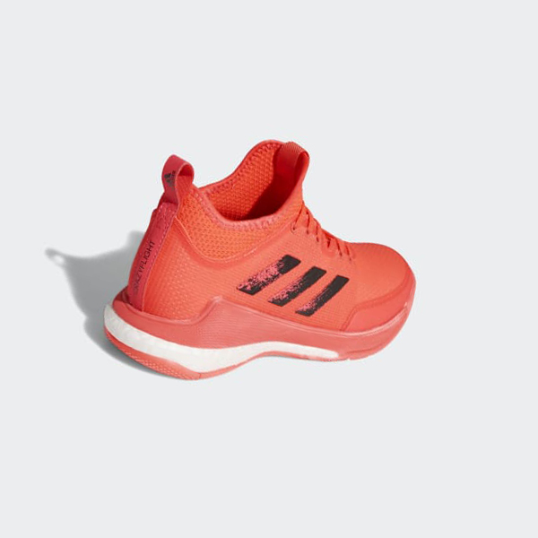 Zapatillas De Voleibol Adidas Crazyflight Mid Tokyo Mujer Chile Rosas - JYKTBE260